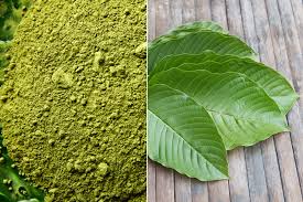 What Are The Health Benefits Of Kratom?