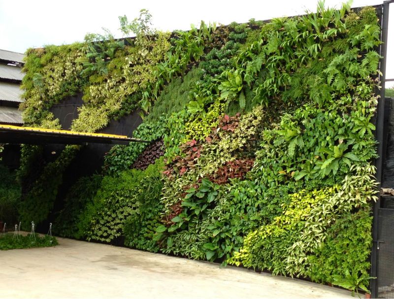 The Biggest Problem with artificial green wall, And How You Can Fix It