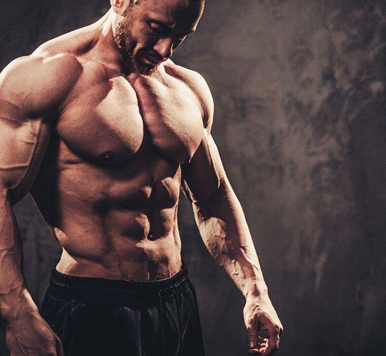 LGD 4033: How To Build Your Muscles?